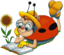 coccinellaù